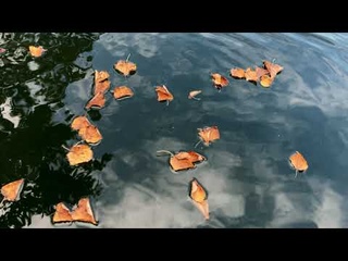 Золотая осень на реке Воронеж