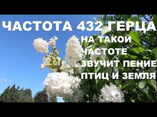 ЛЕСНЫЕ ПТИЦЫ ПОЮТ НА ВЫСОКИХ ВИБРАЦИЯХ ОЗДОРАВЛИВАЯ ВЕСЬ ОРГАНИЗМ.ПЕНИЕ ПТИЦ ЦВЕТУЩЕЙ ВЕСНОЙ.