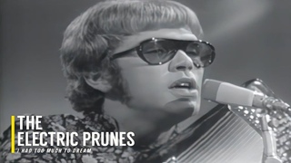 The Electric Prunes - I Had Too Much To Dream (1967) 4K