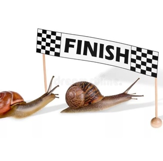 Гонки улиток. Улитка бегает. Что получает победитель гонки улиток. Что получает победитель гонки улиток. Что получает победитель гонки улиток.