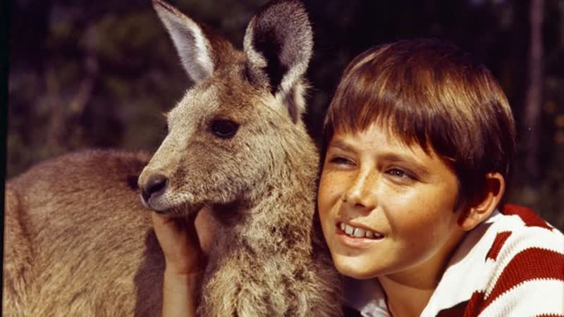 Скиппи, Skippy, Skippy the Bush Kangaroo (1967 1970) 1968) Серия 1 39 (приключения