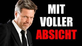 Wirtschaftsminister will unser Geld verstaatlichen? - Wahnsinn in DE