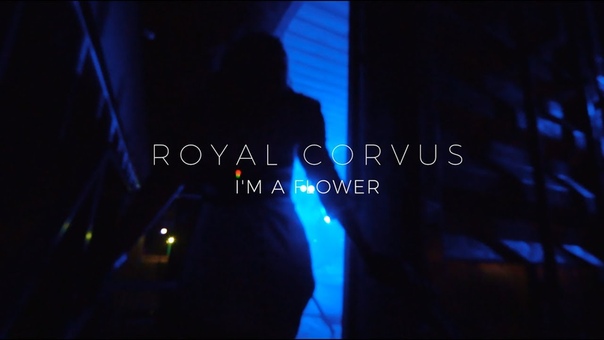 Royal Corvus Im A